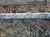 image of grave number 362936